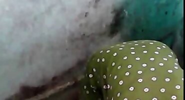 sex mẹ thằng bạn Một phụ nữ trẻ fucks trong ass sex mỹ đen với một ông già.